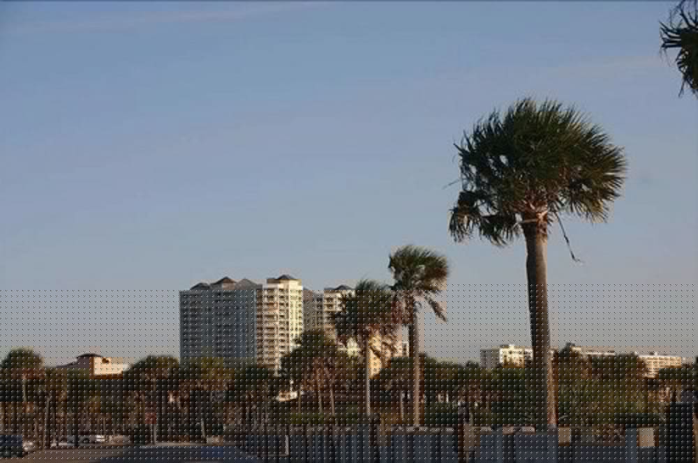 Hampton Inn Naples - Central 7/41