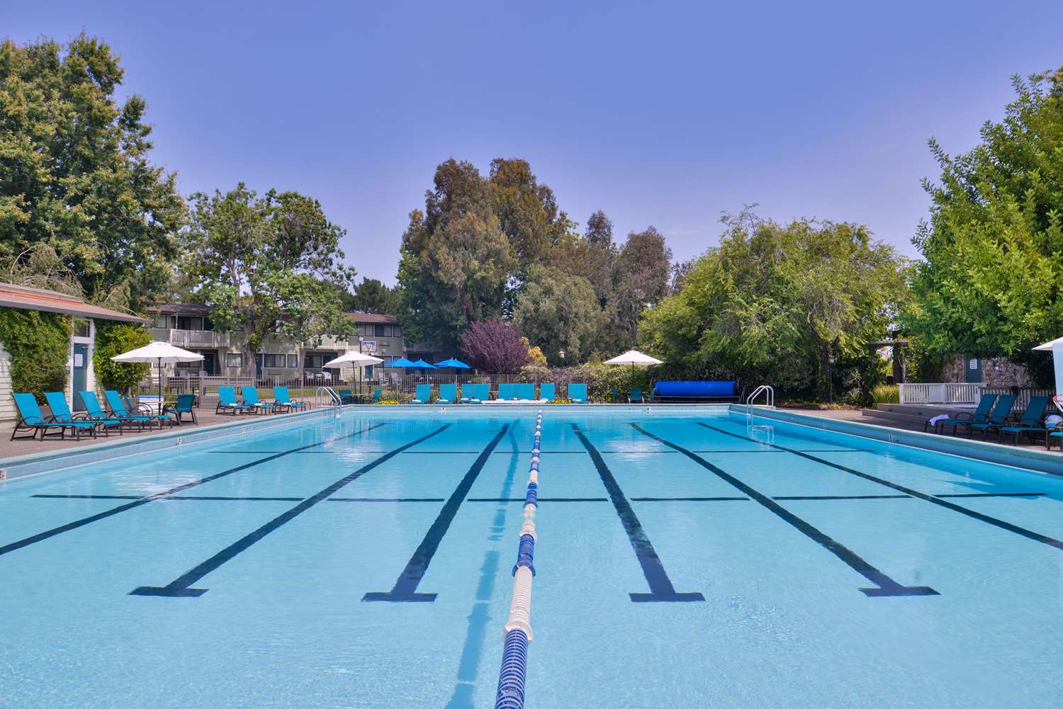 Best Western Corte Madera Inn 31/54