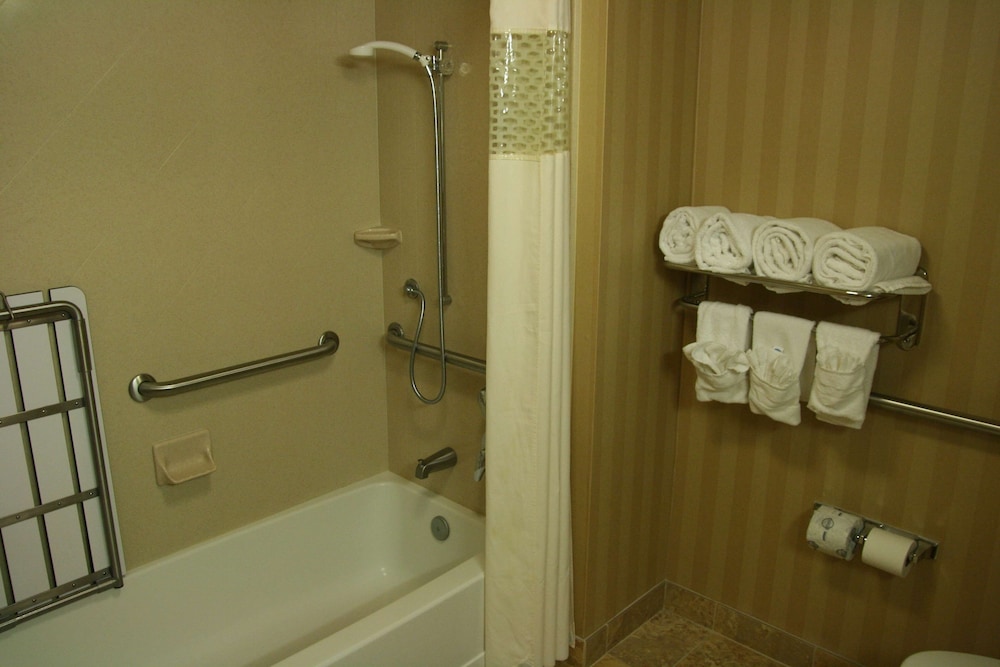 Hampton Inn & Suites Mobile Providence Park/Airport 24/56