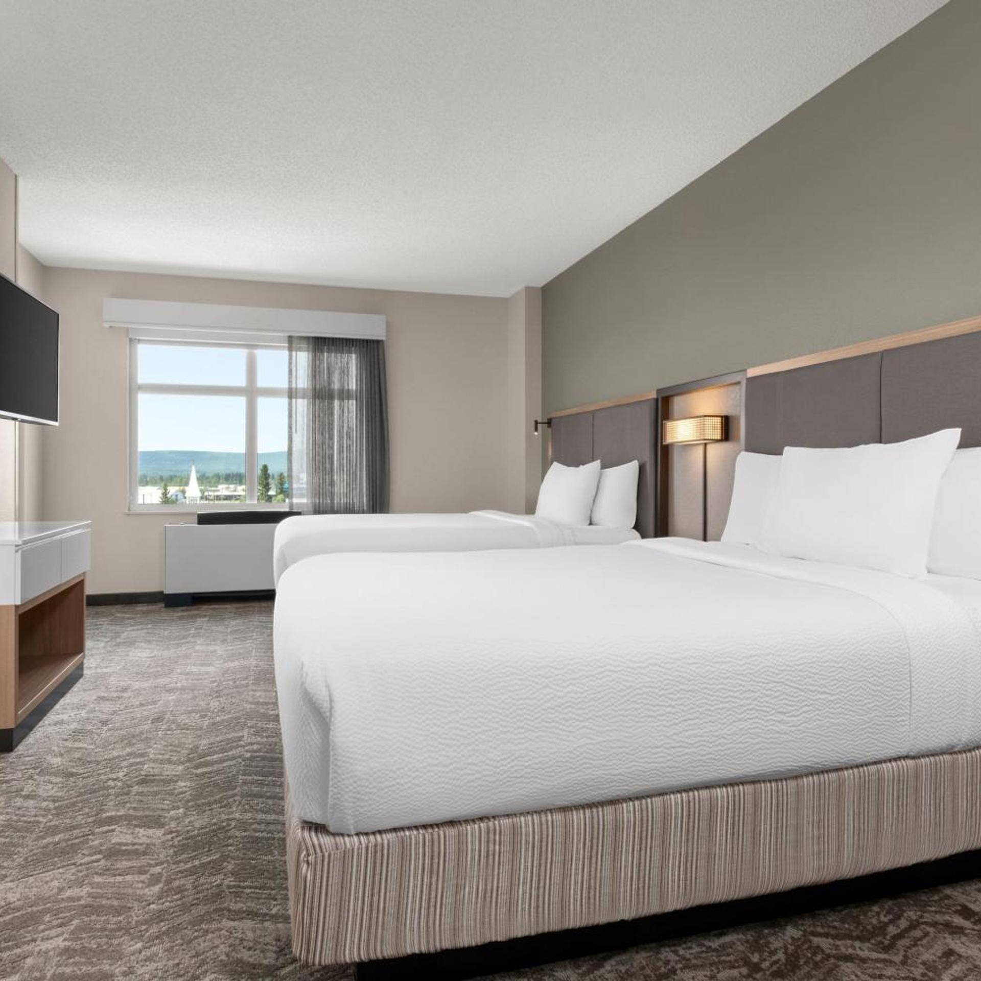 Suite, 2 Queen Beds, Trundle Bed, Sofa