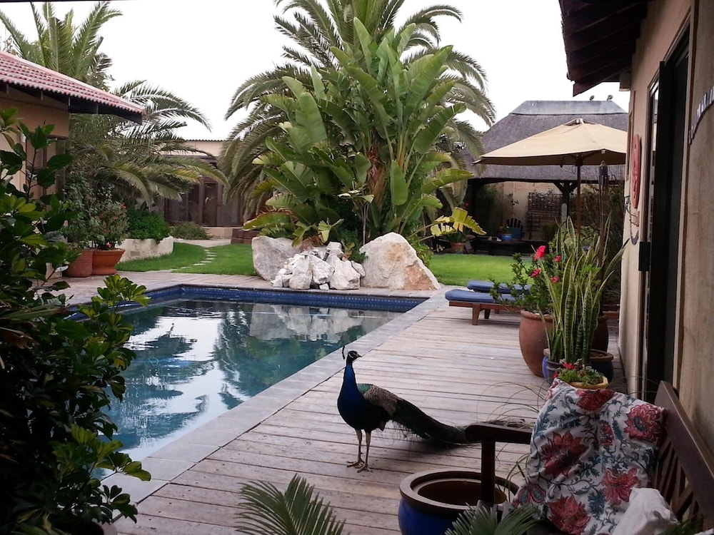 Gecko Ridge Guest House 31/44