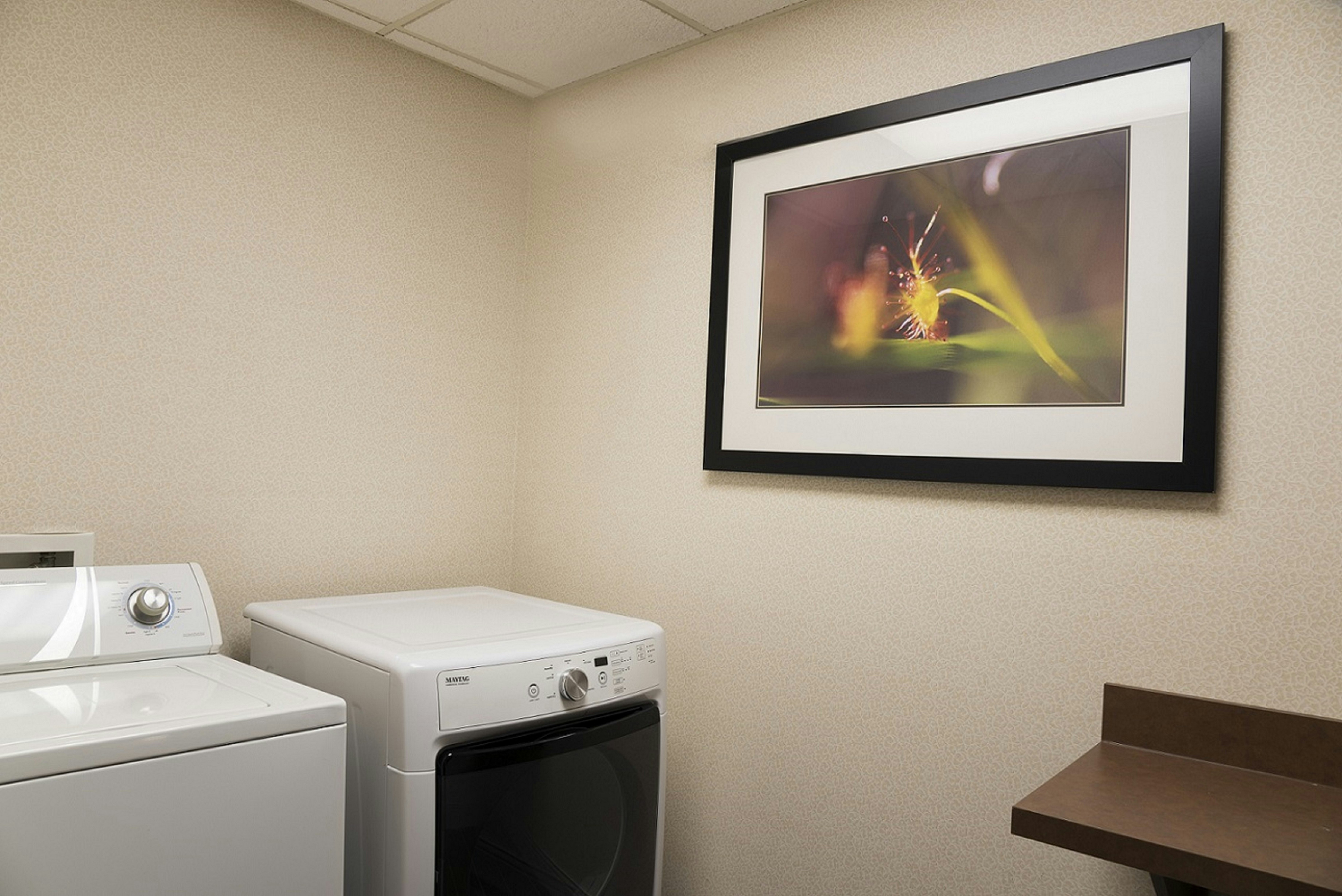 Hampton Inn Mt Pleasant 11/12
