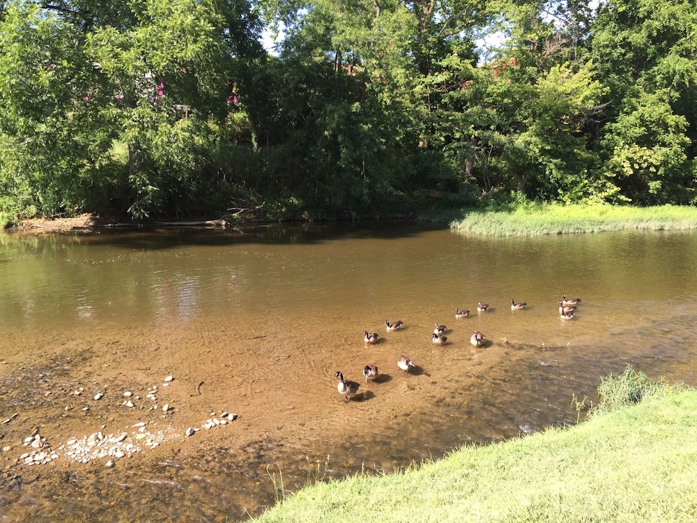 Pigeon River Inn 63/65