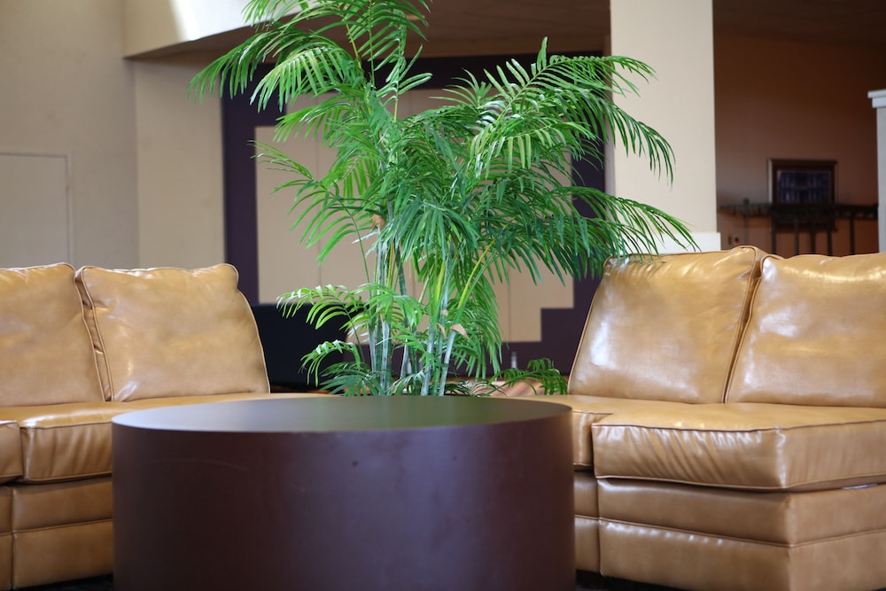 Ramada by Wyndham Midtown Grand Island 6/30