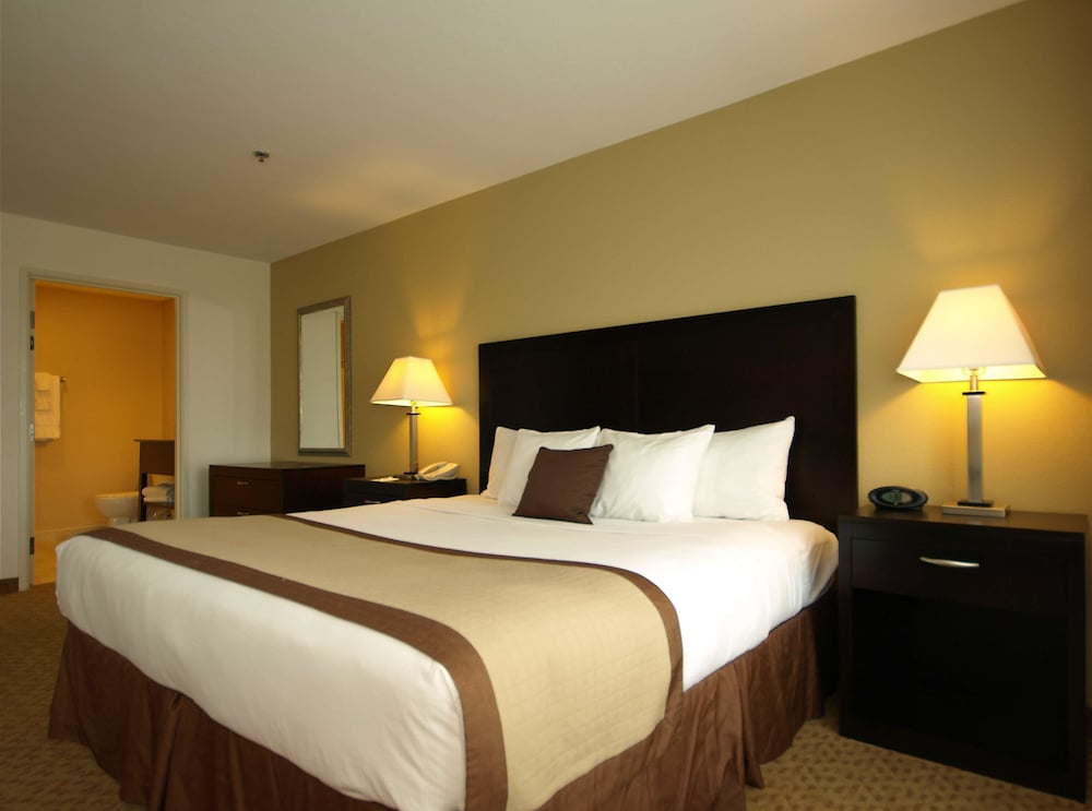 Best Western Plus Valdosta Hotel and Suites 15/41