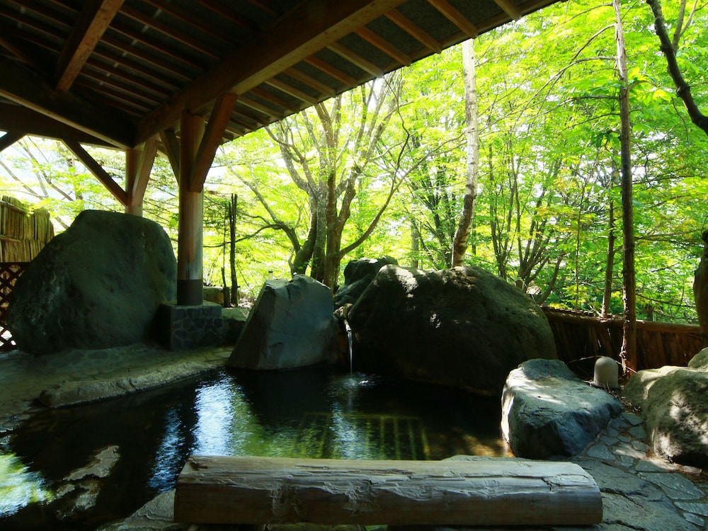 Okuhida Onsen Matsunoi (ex Hina no Yakata Matsunoi) 23/50