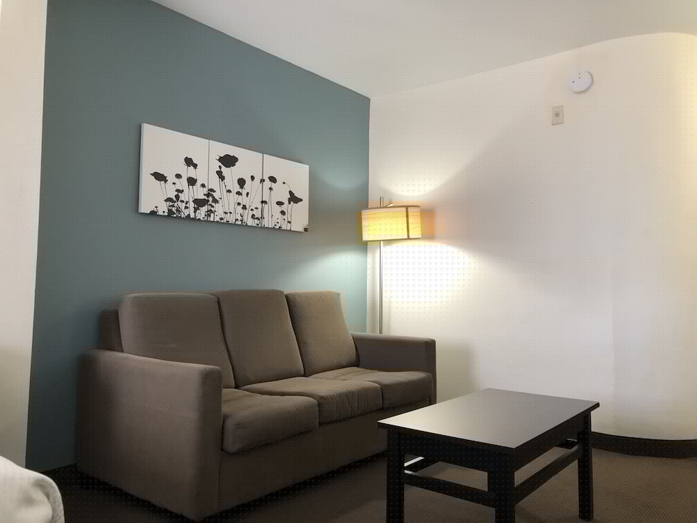 Spark by Hilton Montgomery 24/36