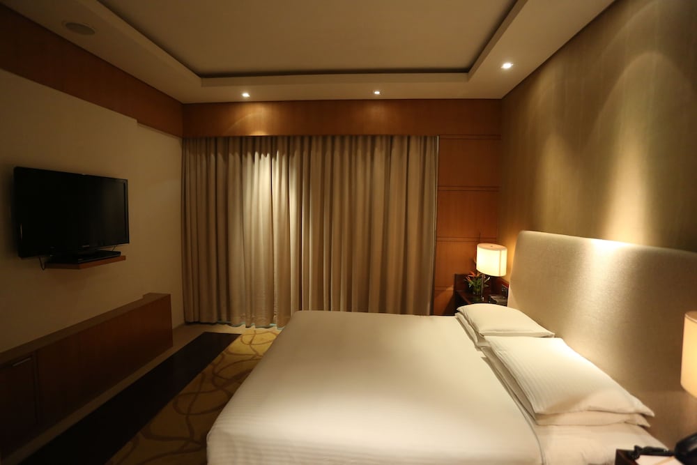 Hyatt Regency Chennai 32/80