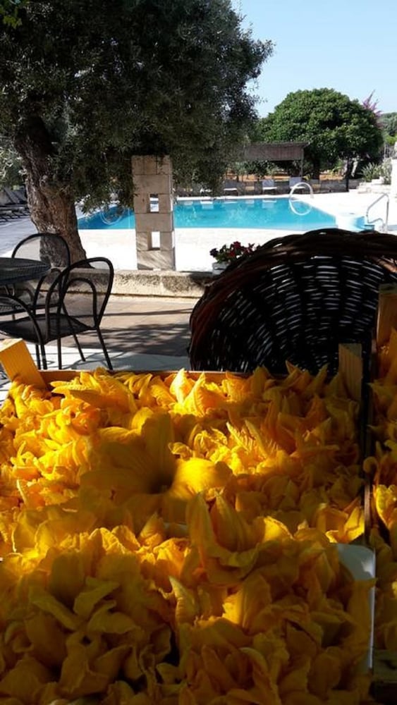 Masseria San Martino 42/57