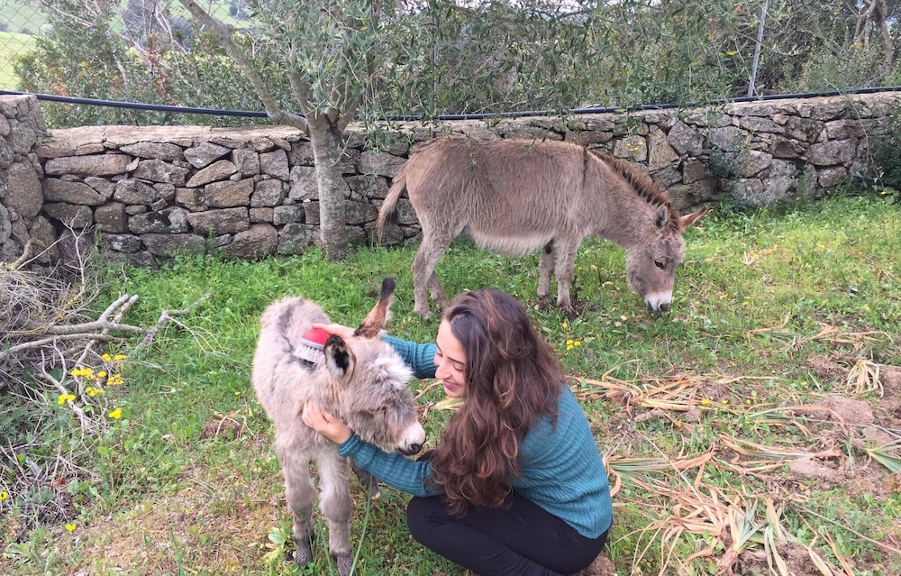 Agriturismo Lu Branu 55/69