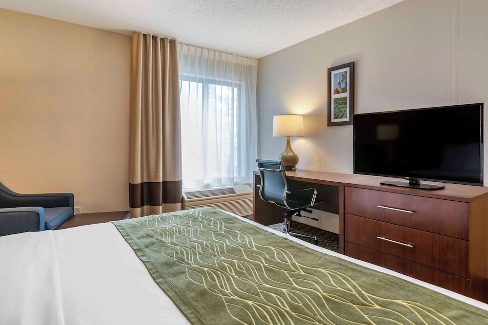 Room, 2 Queen Beds, Accessible