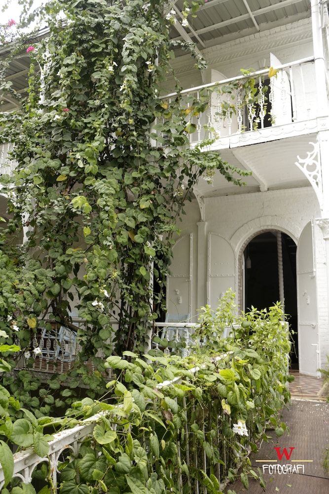 Hotel Florita 5/50