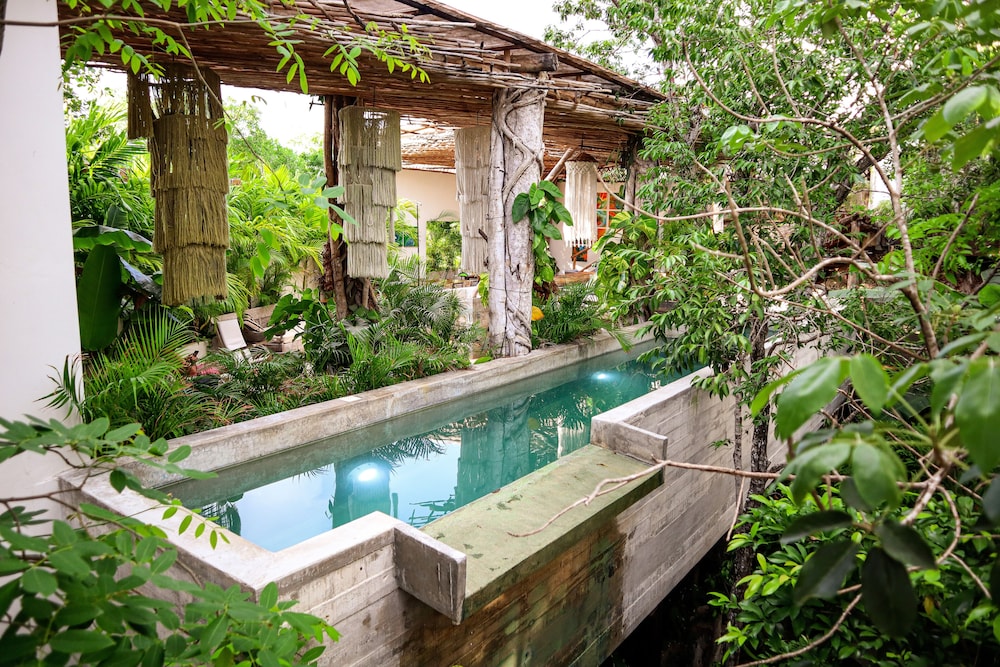 Orchid House Tulum 43/50
