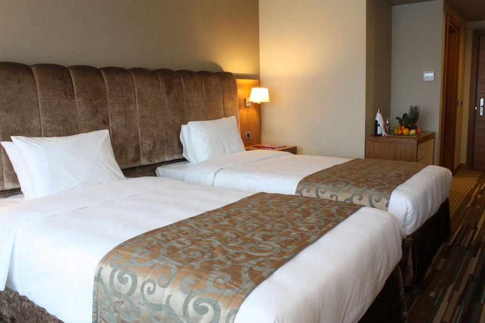 غرفة قياسية مفردة بسرير مزدوج، VOLLEY HOTEL ISTANBUL 4/6