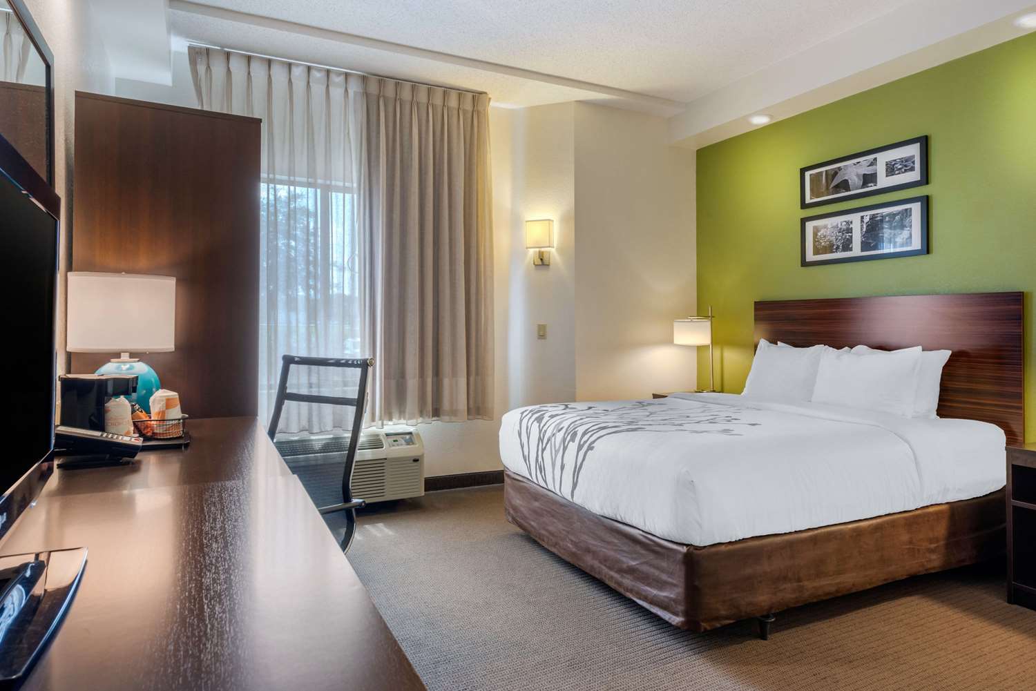 Room, Queen Bed, Accessible