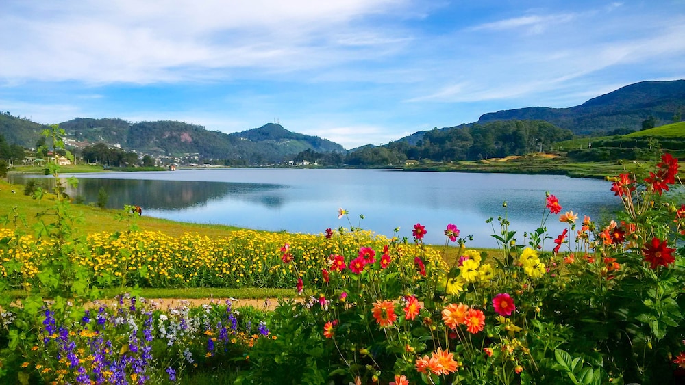 Tea Fields Villa 42/53
