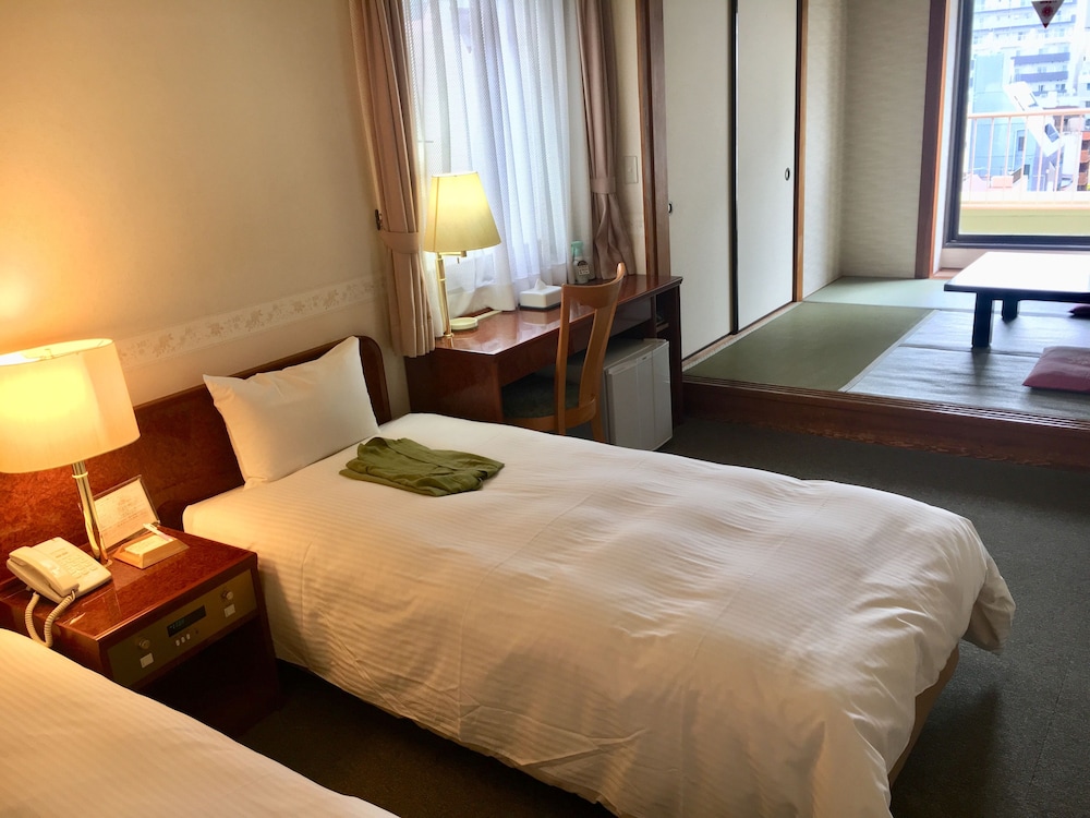 Ueno Terminal Hotel 20/53
