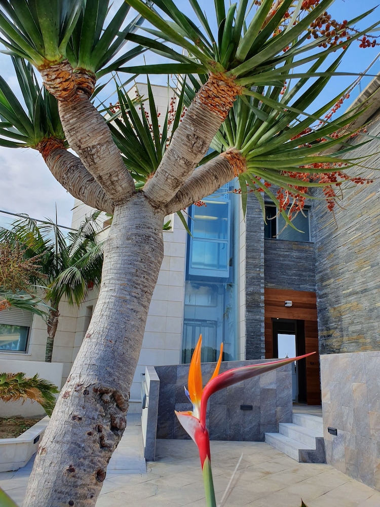 Aroma De Mar Hotel 43/50