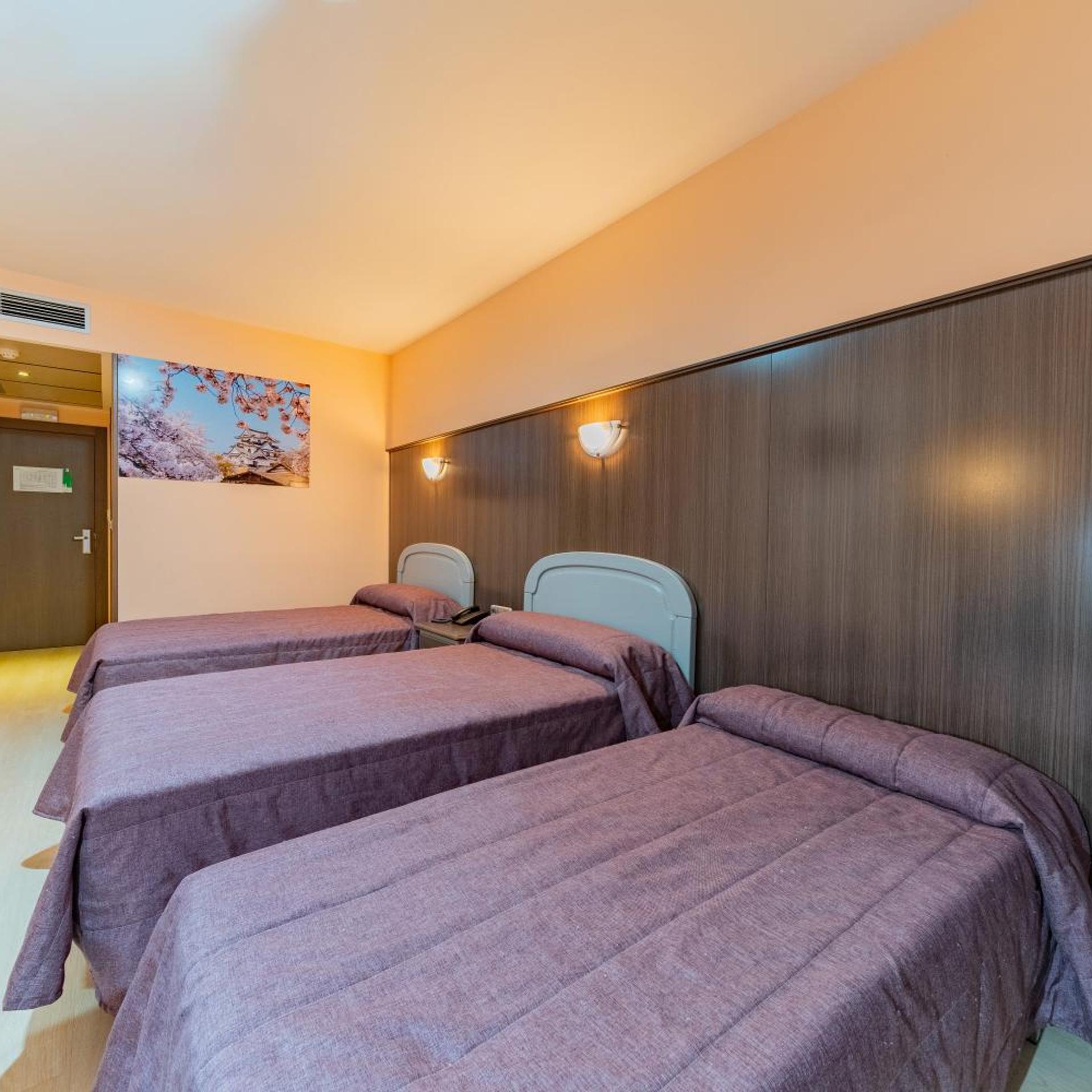 HOTEL MONREAL 14/50