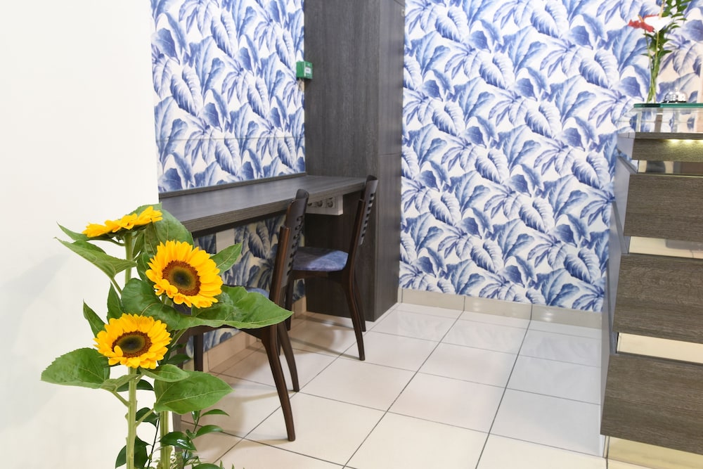 Apartamentos Tinoca 6/50