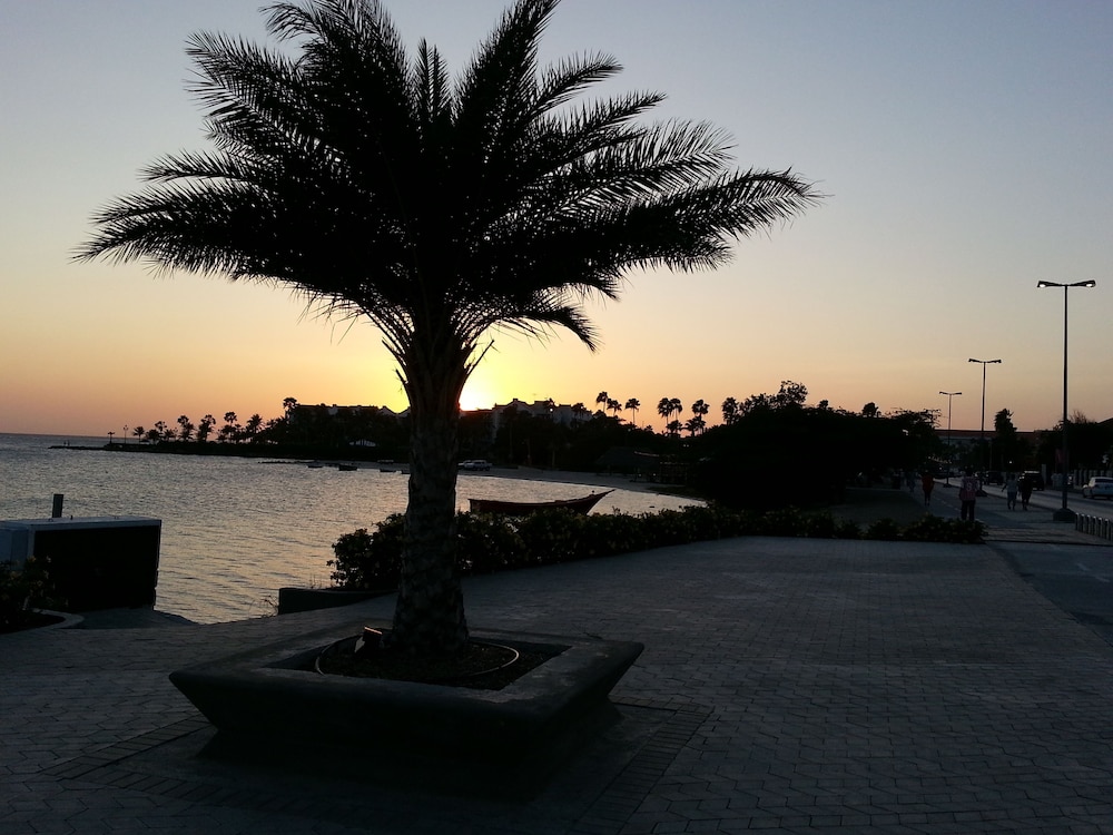 Le Chateau Ocean Villas 42/48