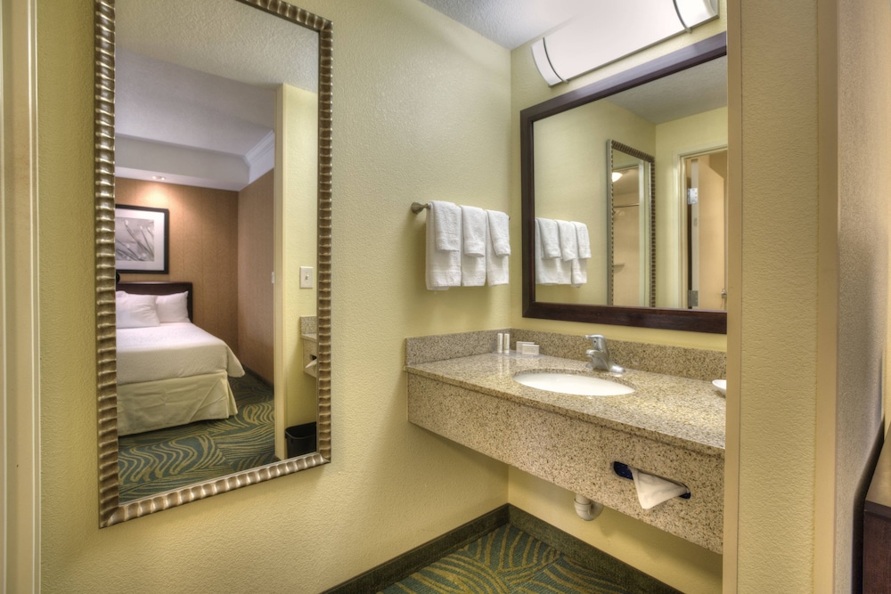 Springhill Suites Tampa Brandon 18/60