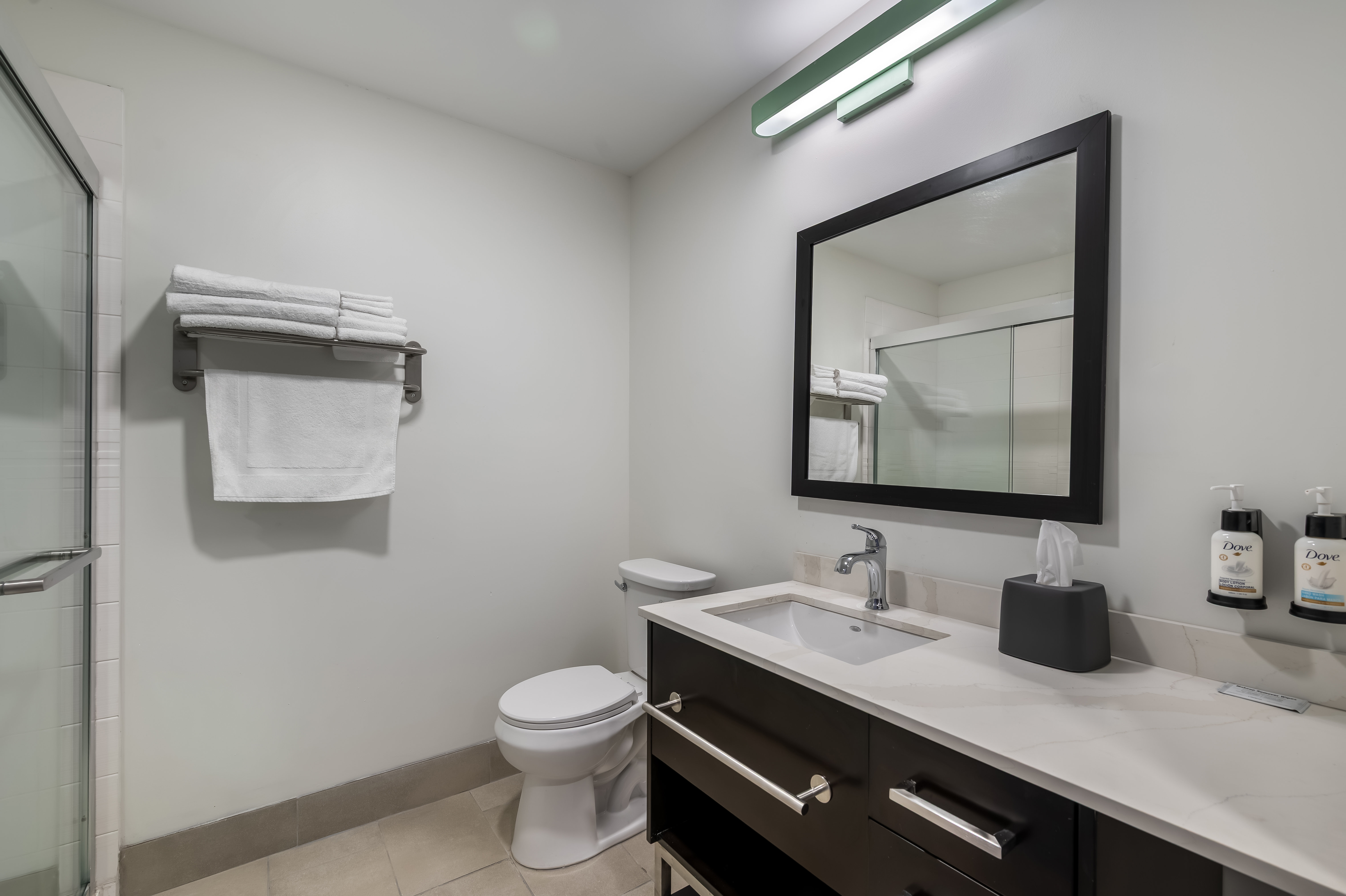 Garner Hotel Birch Run - Frankenmuth Area by IHG 55/58
