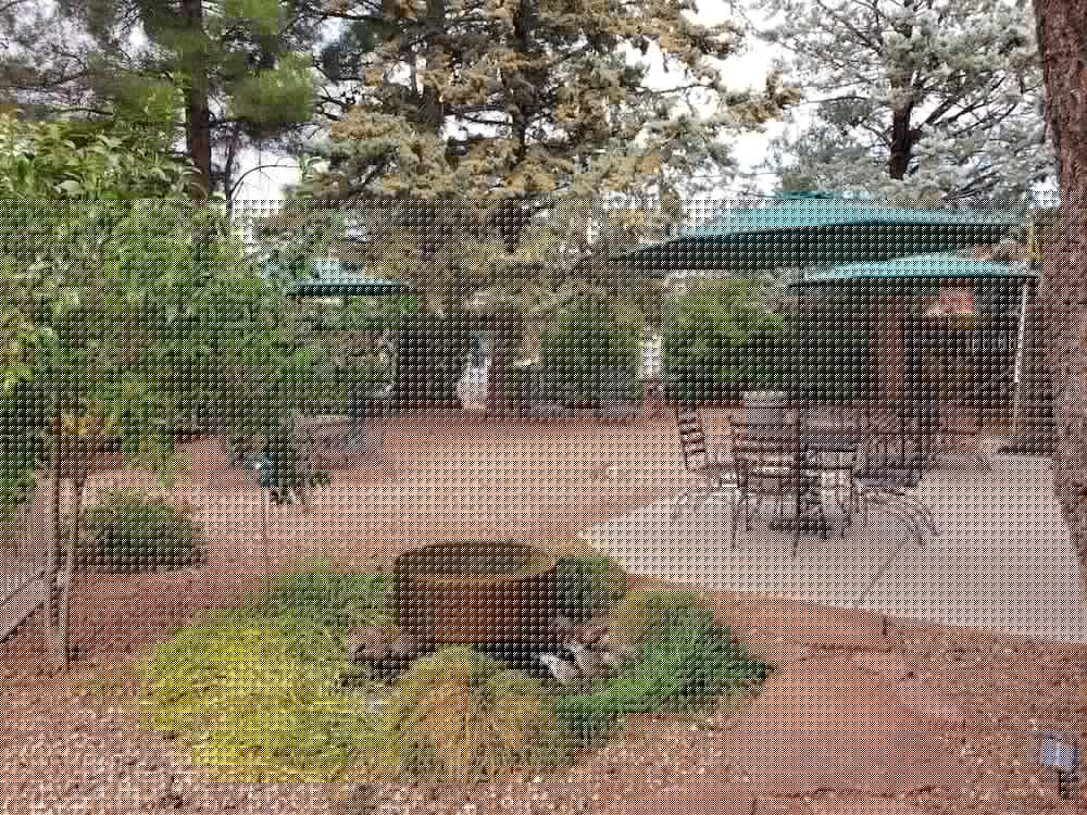 Baby Quail Inn 7/68