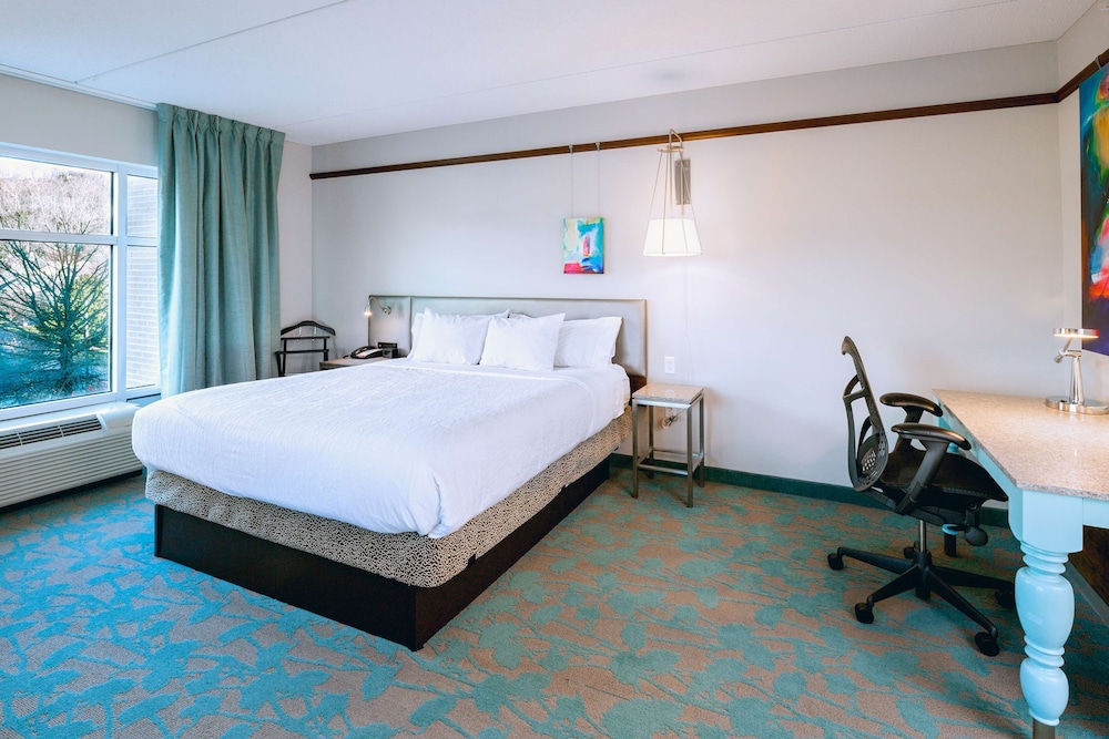 Hilton Garden Inn Asheville Downtown 10/45