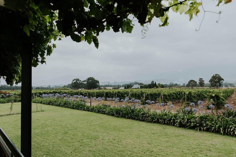 Cana Vineyard Guesthouse 61/76