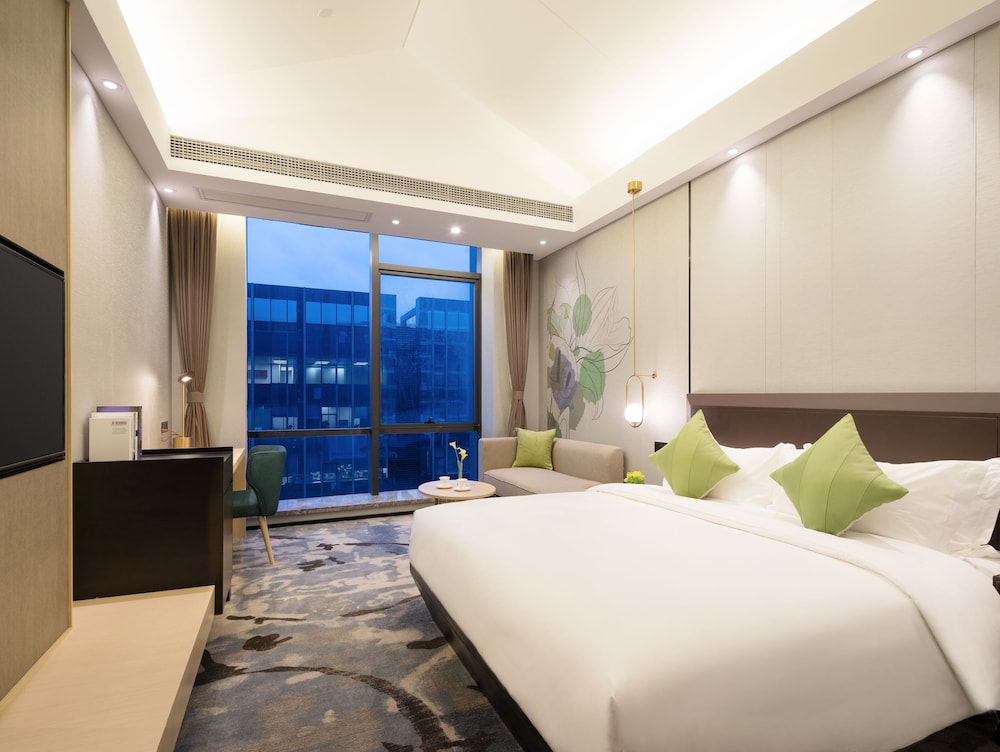 Buddy Hotel 14/50