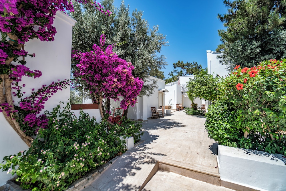 Manzara Boutique Hotel 66/71