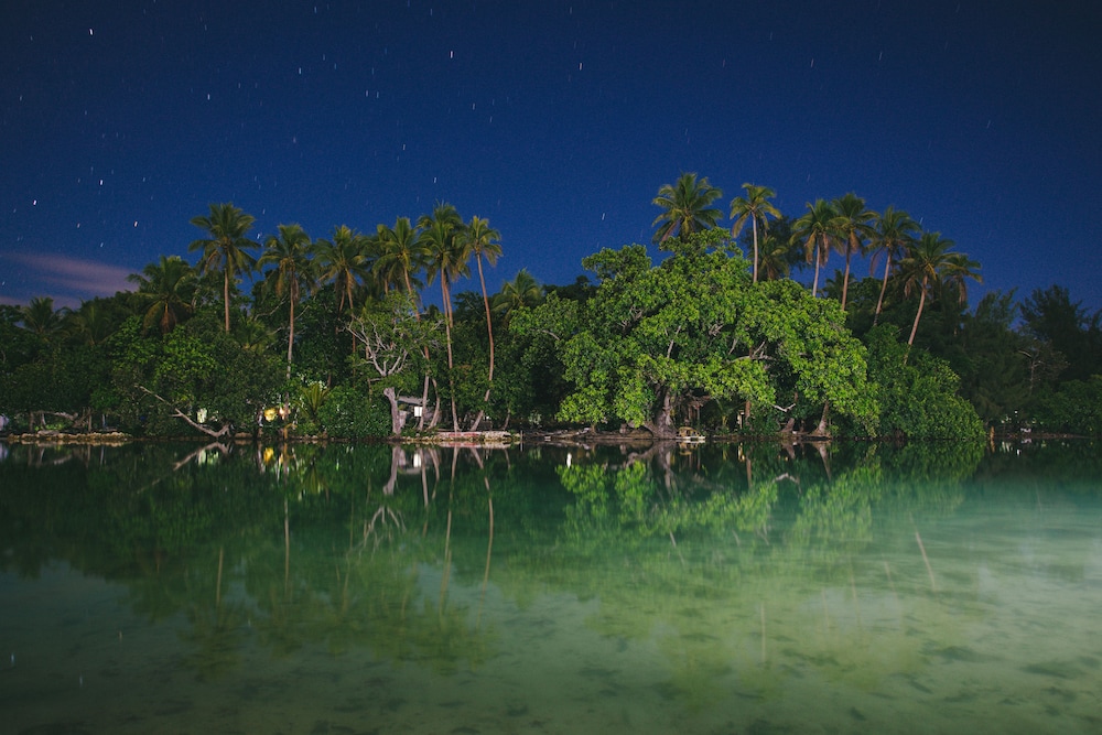 Tropicana Lagoon Resort 33/46