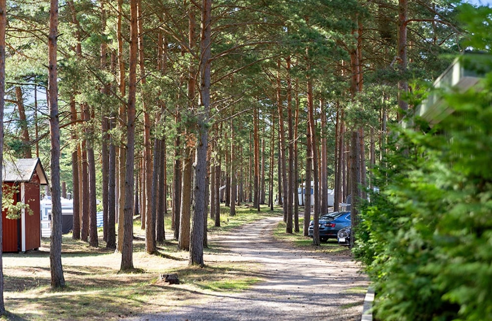 First Camp Åhus 39/50