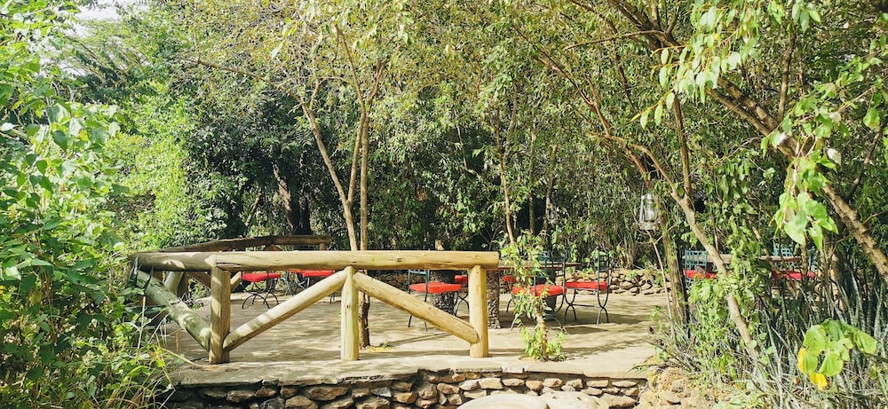Fig Tree Camp 16/45