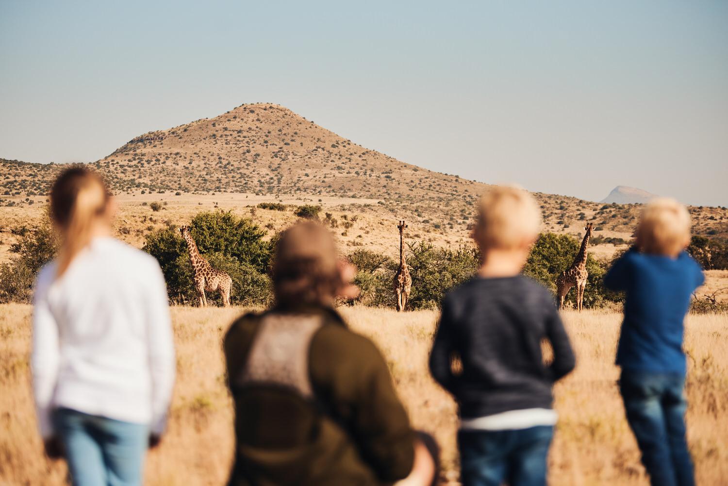 Glen Harry Game Reserve 36/44
