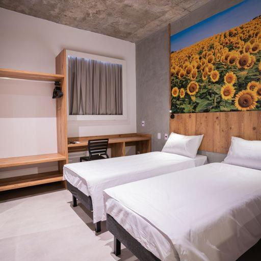 Campos de Holambra Inn 10/50