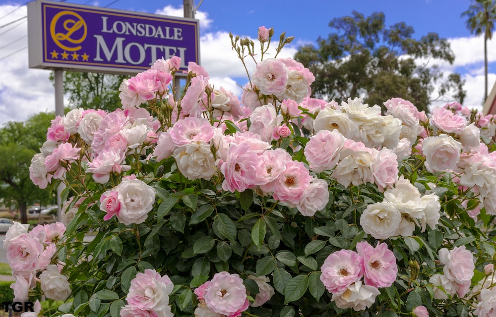 HAMILTON LONSDALE MOTEL 4/58