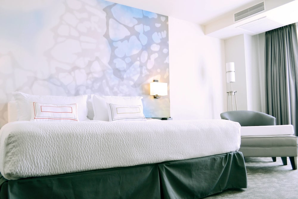 Courtyard By Marriott San Luis Potosi 21/42