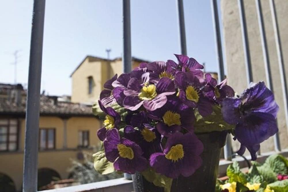 Hostel Santa Monaca 47/50