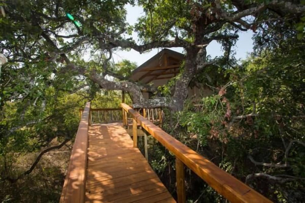 Lion Tree Top Lodge 28/36