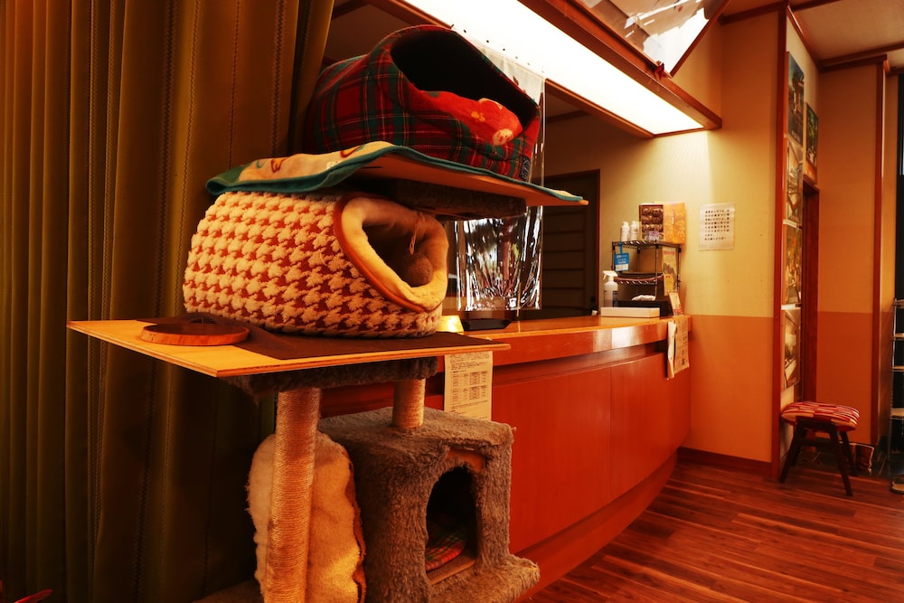 Akasawa Onsen Ryokan 10/41