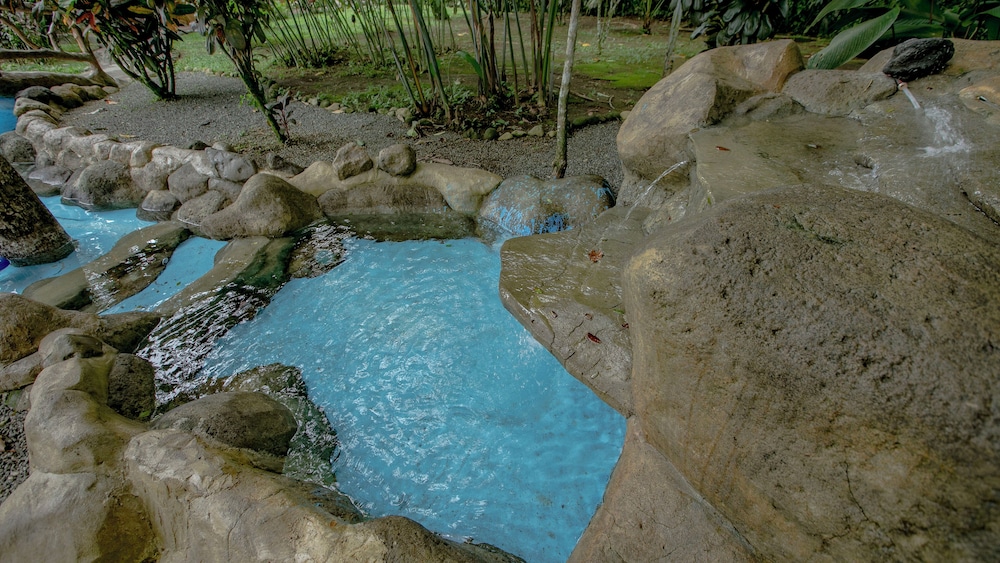 Hotel Las Orquideas 23/50