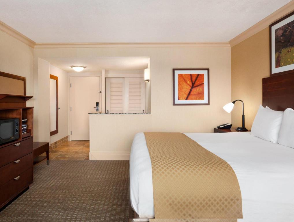 DELUXE, SUITE, KING BED, SOFA, ACCESSIBLE