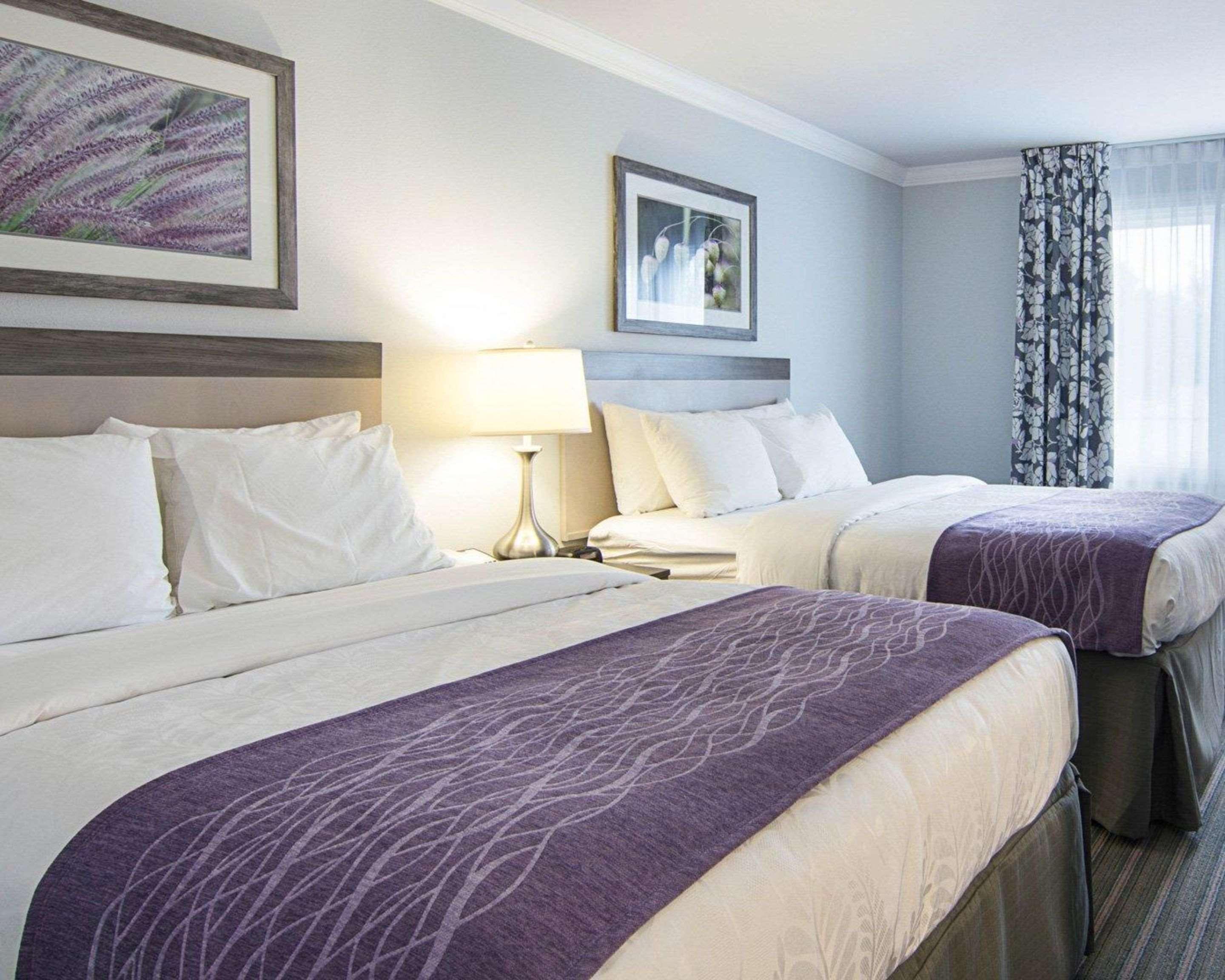 UPGRADE, 2 QUEEN BEDS