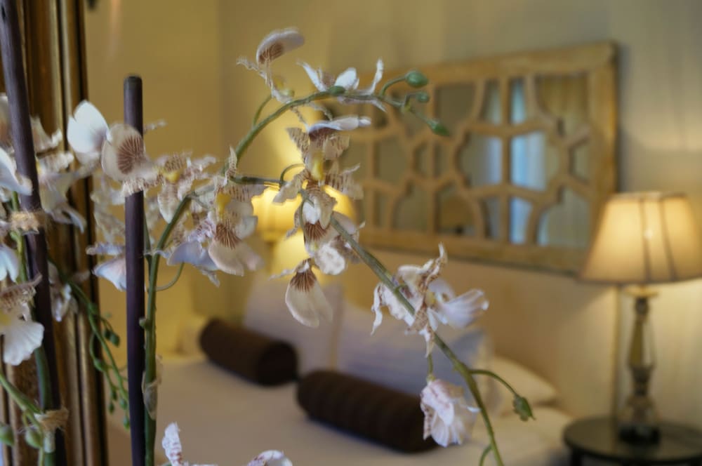 Casaluna Hotel Boutique 40/65