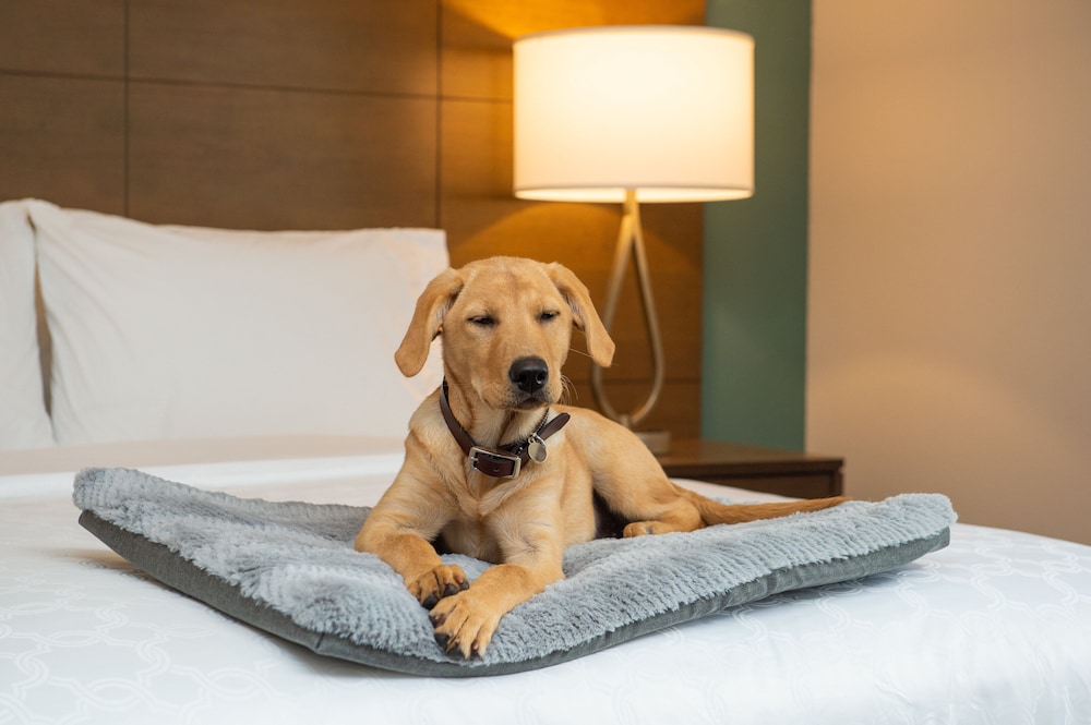 Staybridge Suites Hillsboro North 33/65