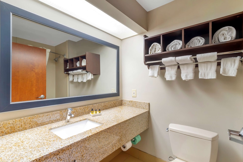 Best Western Plus McDonough Inn & Suites 10/55