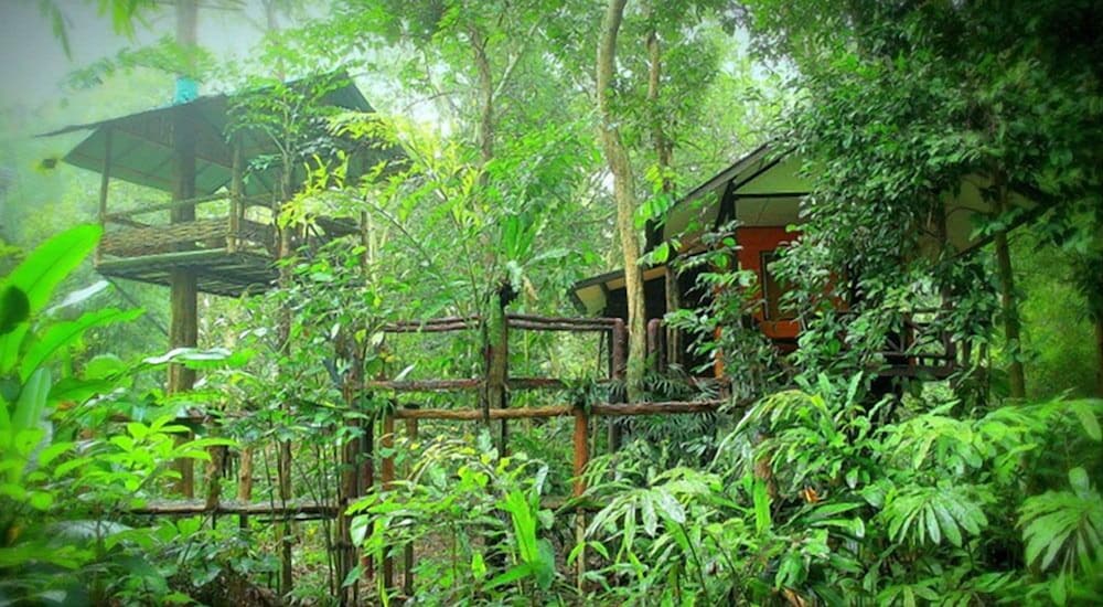 Khao Sok Tree House 38/50