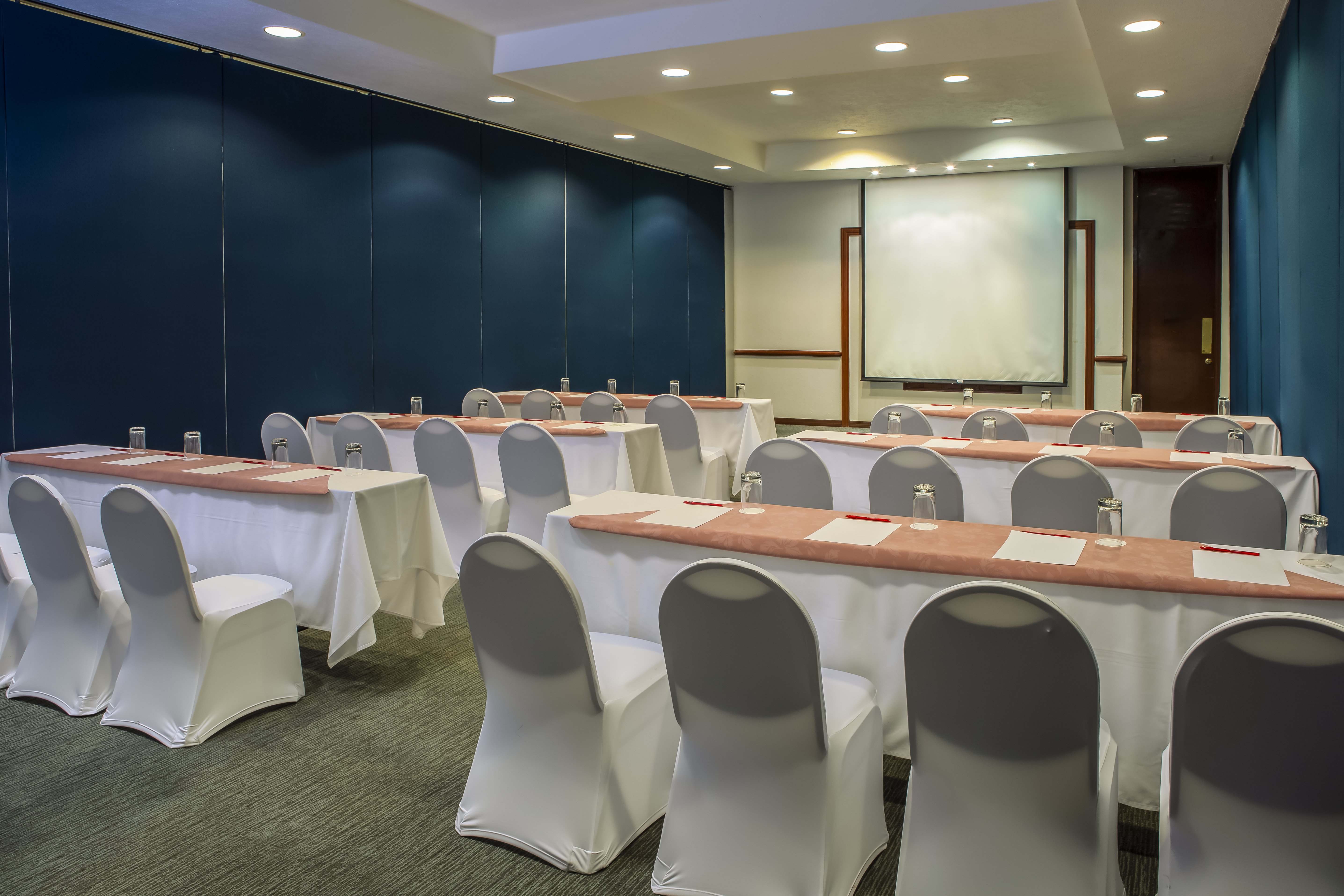 Fiesta Inn Ciudad Juarez 28/39